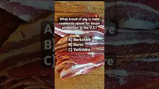 🥓 Which #breed of #pig is most commonly raised for #bacon production? #agriculture #farming #pork