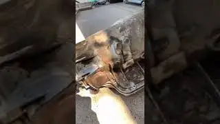 Reviving a th400 transmission #shorts #youtubeshorts #detailing