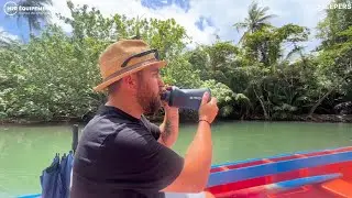 LifeStraw Peak Series Collapsible Water Bottle with Filter Review
