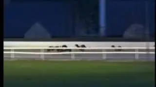 IGB - Welcome To Waterford  19/12/2019 Race 1 - Waterford