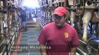 Fireman's Fund Thumbs Up