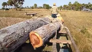 M319, How to lift wood onto a tractor RT140 PLUS drive