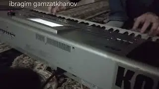 KORG PA 80