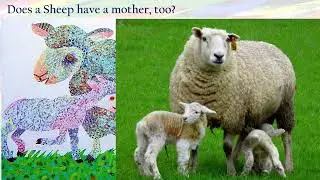 Does a Kangaroo have a mother too song lyric animal picture