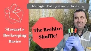The Beehive Shuffle! Managing Colony Strength for Spring Growth - The Norfolk Honey Co.