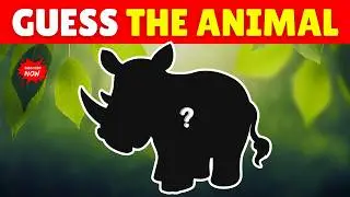🔍 Guess the Animal by Its Shadow! 🐾 #funquiz #riddles #animals #viralquiz