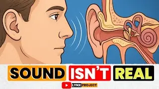 Your Ears Have a Hidden Engineering System You Never Knew &mdash; Here&rsquo;s How It Works