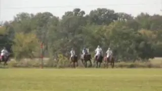Polo Tournament, Ameritina Polo Farm, Wisconsin, USA
