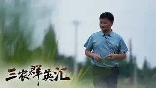 水稻丰收却遭遇连续大雨？“全国种粮大户”带来神秘设备助力水稻顺利丰收 | 「三农群英汇」20211016
