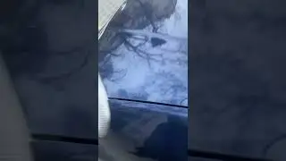 4 февраля 2026 г.
