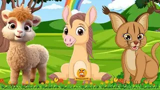 Звуки диких животных в природе: рысь, альпака, обезьяна, сова,... | Animal Moments