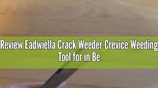 Review Eadwiella Crack Weeder Crevice Weeding Tool for in Between Pavers Weed Removal Tool for Sidew