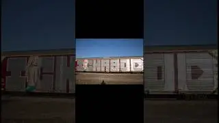 WHOLECAR Freight Train Graffiti #trains #graffitiart #graffiti