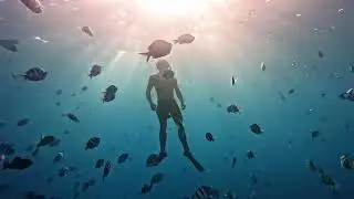 Snorkeling at Turtle Canyon in Waikiki | Hawaii Ocean Charters Tour