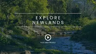 Explore Newlands | Cape Town, South Africa
