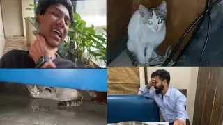 Aaj Kalu Ko Mara #video #vlog 