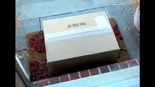 WHEN THE WOLF COMES HOME Unboxing! 🐺🏠
