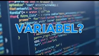 What are Variables in Programming