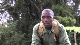 Nyungwe National Park is Making Great Strides to Help Put Rwanda on the Tourism Map