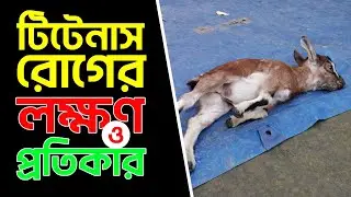টিটেনাস,ধনুষ্টংকা রোগের লক্ষণ এবং চিকিৎসা//symptoms of tetanus, tetanus of treatment