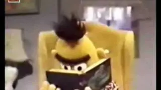 bert en ernie kakhoofd