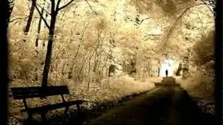 Vosk - I Miss U (Poison Pro Deep Dub remix)
