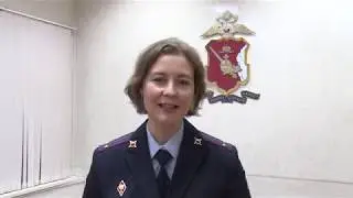 Досье на 8 февраля 2019 55 выпуск