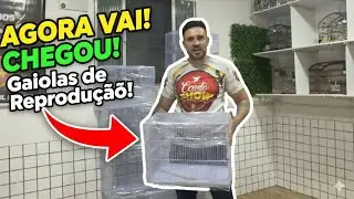 O SEGREDO DA REPRODUÇÃO: Chegaram as Gaiolas Novas no Criatório FP