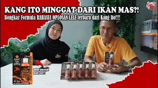 ILMU UMPAN MAS UNTUK LELE BABON! | Kang Ito Bongkar Rahasia Essen Oplosan Lintas Spesies.