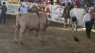 EL PECAS VS EL MASAPAN