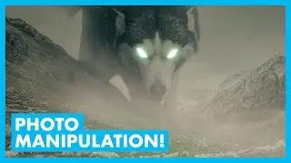Create a WOLF + SHEEP photo manipulation (PHOTOSHOP TUTORIAL)