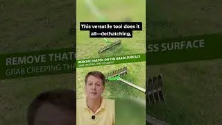 Transform Your Lawn Instantly with This Game-Changing Dethatcher Rake 🌿
