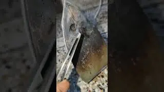Effective way to clean iron easily 😍😍#daywithvaishnavi #shortvideo #iron #cleaning