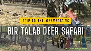 BIR TALAB DEER SAFARI ..🦌🦒🐅🦃🕊️📷#bathindanews#zoo#viralvideo #fun #animals #family #viral#longvideo