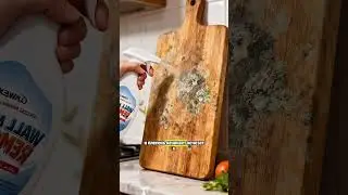 Эффективное средство от плесени и грибка