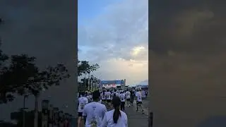 One Piece Fun Run 2025 @onepiecefunrun