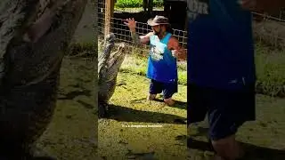 SAVING GATORS in Texas! | #TexasGatorSavers #EarthX #Shorts