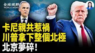 卡尼親共惹禍 加國政商界反擊 ；車禍剛發生 救護車已在現場？中共不寒而慄的器官鏈【全球視野】