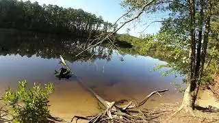 Exploring Great Bridge Battlefield and Waterways Park (Chesapeake, VA)