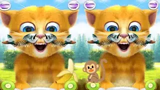 😅Talking Ginger 2||Thame and friends talking Tom||Funny cartoon Effects #animatedcartoon 