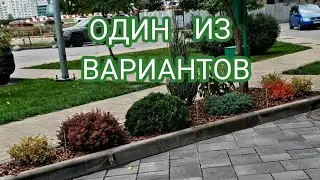 ЧТО ПОСАДИТЬ ОСЕНЬЮ 