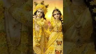 🙏tujhpei tiktihe hamri najariya&hearts;️// #🌼radheshyam🌸 #radhekrishna🌼 #radheradhe 🌸#shorts