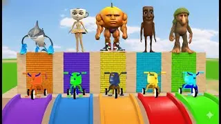 Long Slide Game With Cow Elephant Gorilla Hippopotamus Tiger 3d Animal Game Funny 3d AnimalsVideo
