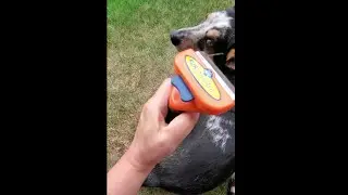 Furminator VS Dual-Sided Shedding Blade for Australian Cattle Dog