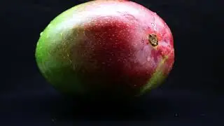 Mango Black Background 4K Copyright Free Stock Video