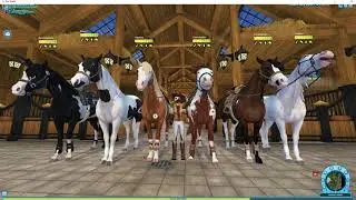 My six G3 American Paint Horses SSO 2023