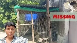 আজকে আবার পায়রা ঘর ঠিক করলাম #kabutar  #pigeon #lover 