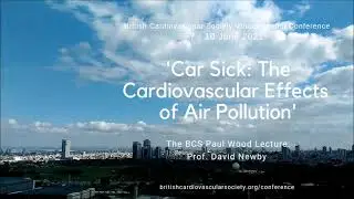 Car Sick: The Cardiovascular Effects of Air Pollution