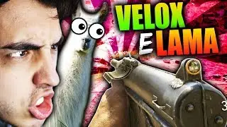 VELOX E LAMA APPRODANO SU WWII !!