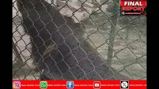Jambu Zoo implements temperature control measures to protect animals amid heatwave.